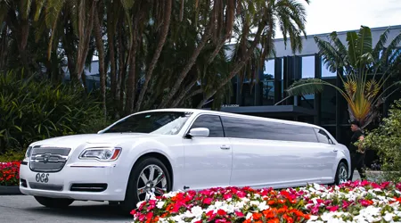Black Car & Cruises